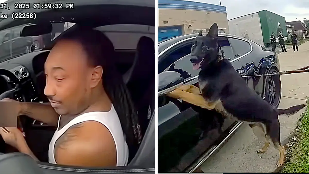 ‘Right Car, Wrong Day’: Ohio Cops Tried Their Hardest to Find Drugs and Guns in a Black Man’s Bentley But Found Nothing