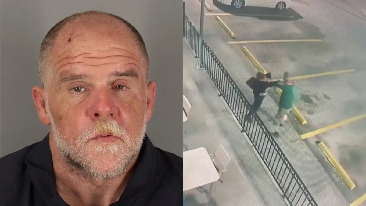 ‘Make Sure He Stays in Jail’: Shocking Video Shows Woman Beating Off Violent Robber After He Attacks Her in Broad Daylight Outside Texas IHOP