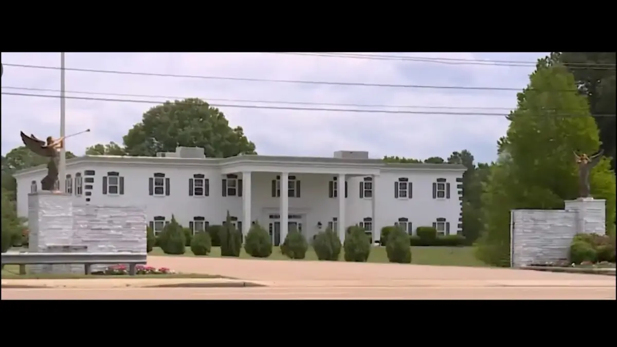 The Art of Baking: From Classic Bread to Artisan Pastries