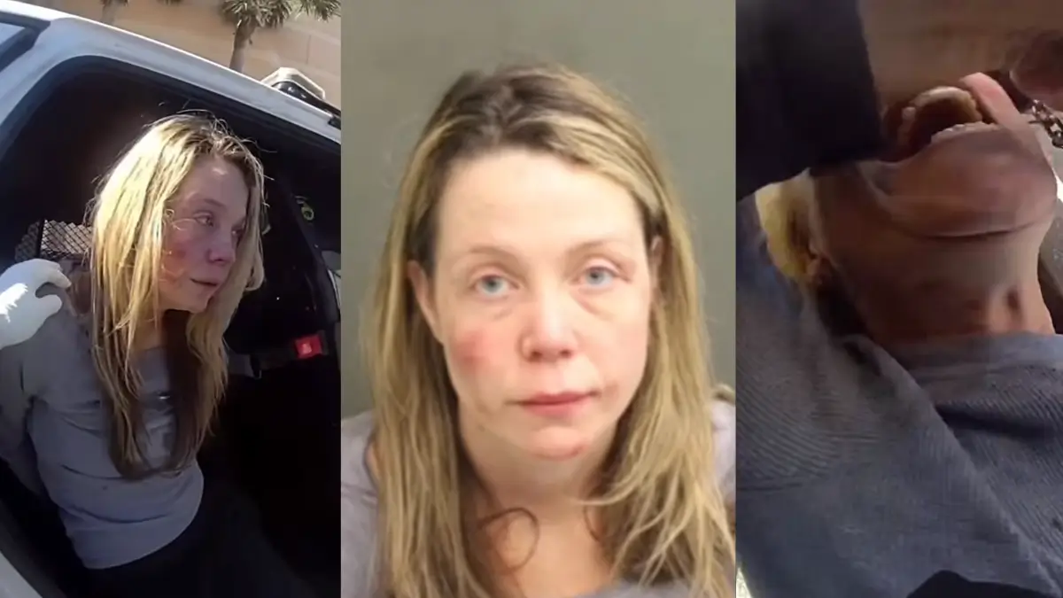 ‘Get Back!’: Florida Woman Blocks Road, Rips Open Pregnant Stranger’s Car Door and Attacks — But the Moment She’s Cuffed Takes an Even More Disturbing Turn, Video Shows