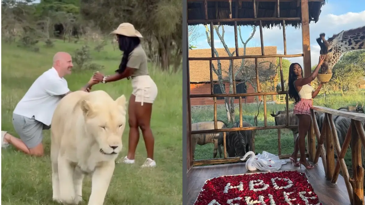 The Art of Baking: From Classic Bread to Artisan Pastries