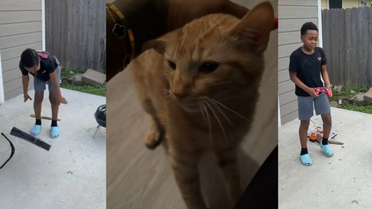 ‘I’ll Destroy Everything!’: Texas Mother Punishes Child For Abusing Cat By Destroying His Toys, But Critics Say the Real Problem Isn’t Fixed