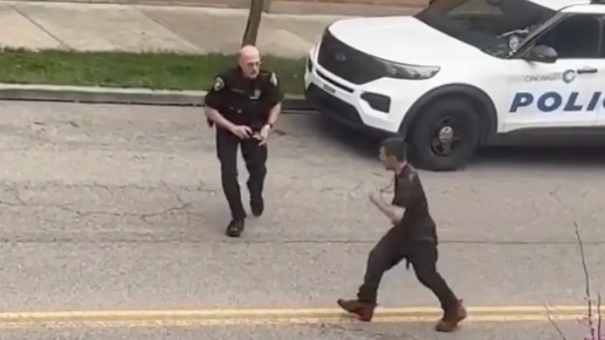 The Art of Baking: From Classic Bread to Artisan Pastries