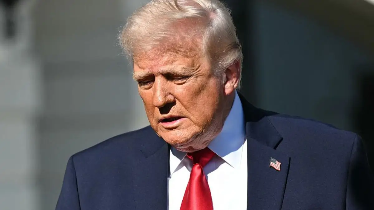 The Art of Baking: From Classic Bread to Artisan Pastries