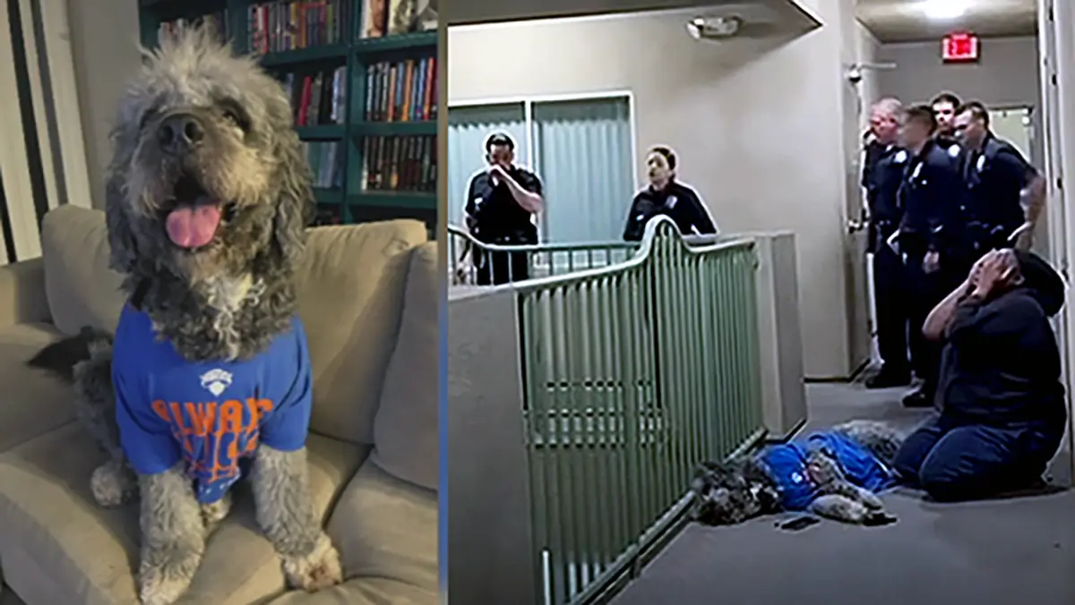 ‘Oh, My God! Oh, My God!’: LAPD Kills Black Woman’s Dog After Neighbor Calls 911 as Research Reveals a Disturbing Pattern That’s Hard to Ignore