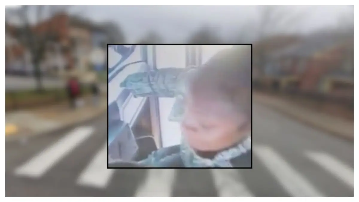 Video Shows a Mother Storming a School Bus After a Pickup Delay — Seconds Later, Kids Are Screaming and Adults Are Fighting to Pull Her Off the Driver