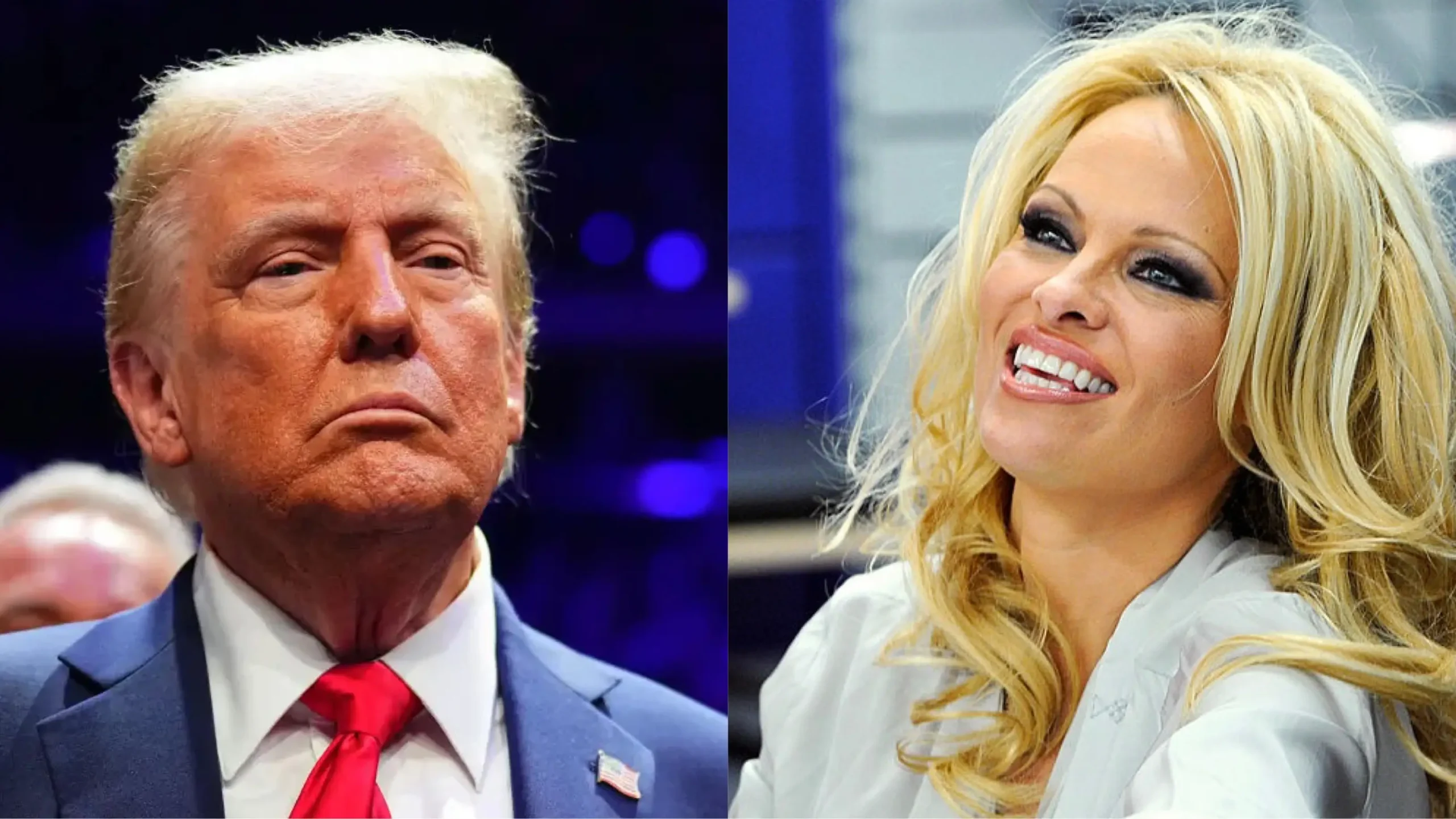 Oscar-nominated actress Pamela Anderson reveals she was paid $500 to attend one of Donald Trump's parties. (Photos: Chris Unger/Zuffa LLC; Martin Schalk/Getty Images)