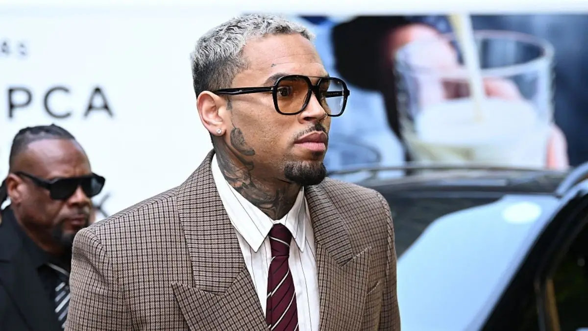 chris brown dog mauling case